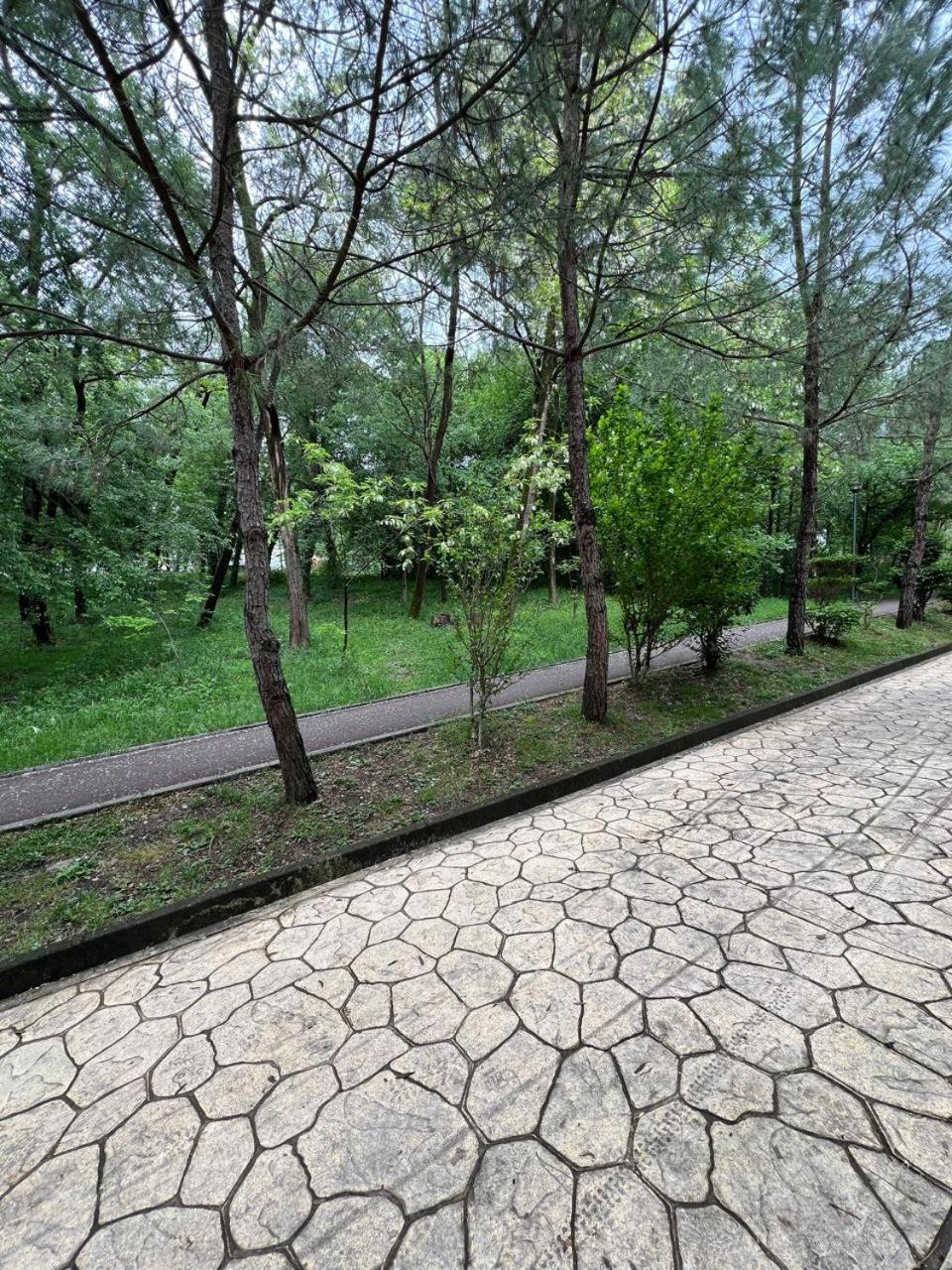 Апартаменты Cozy Flat Near Air Albania Stadium 1 Тирана